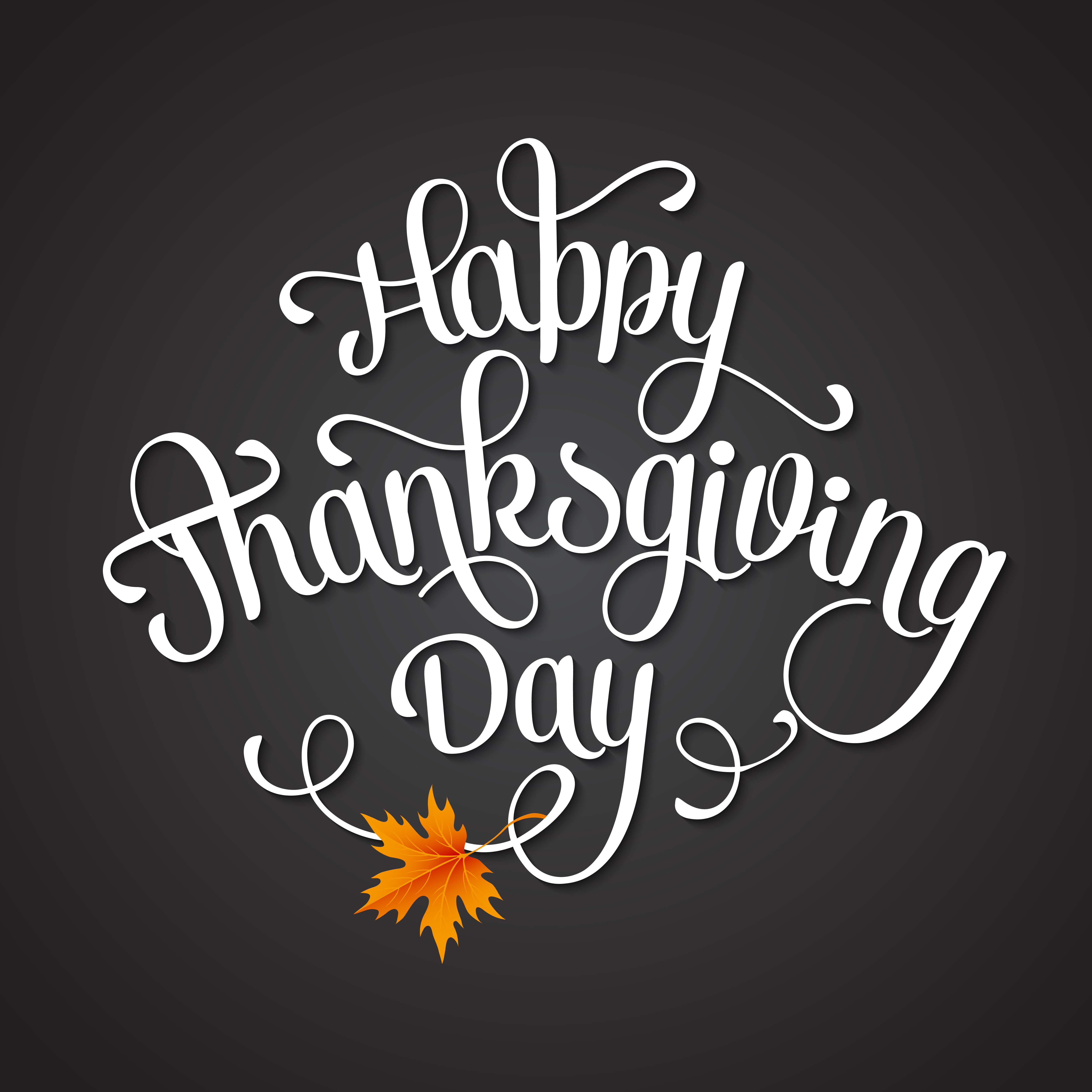 thanksgiving day were open at pasturas los alazanes