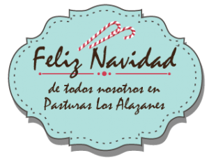 Feliz Navidad