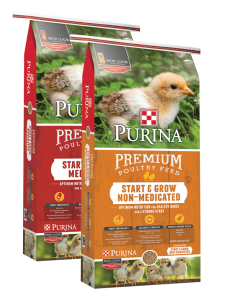 Purina Chicken Feed