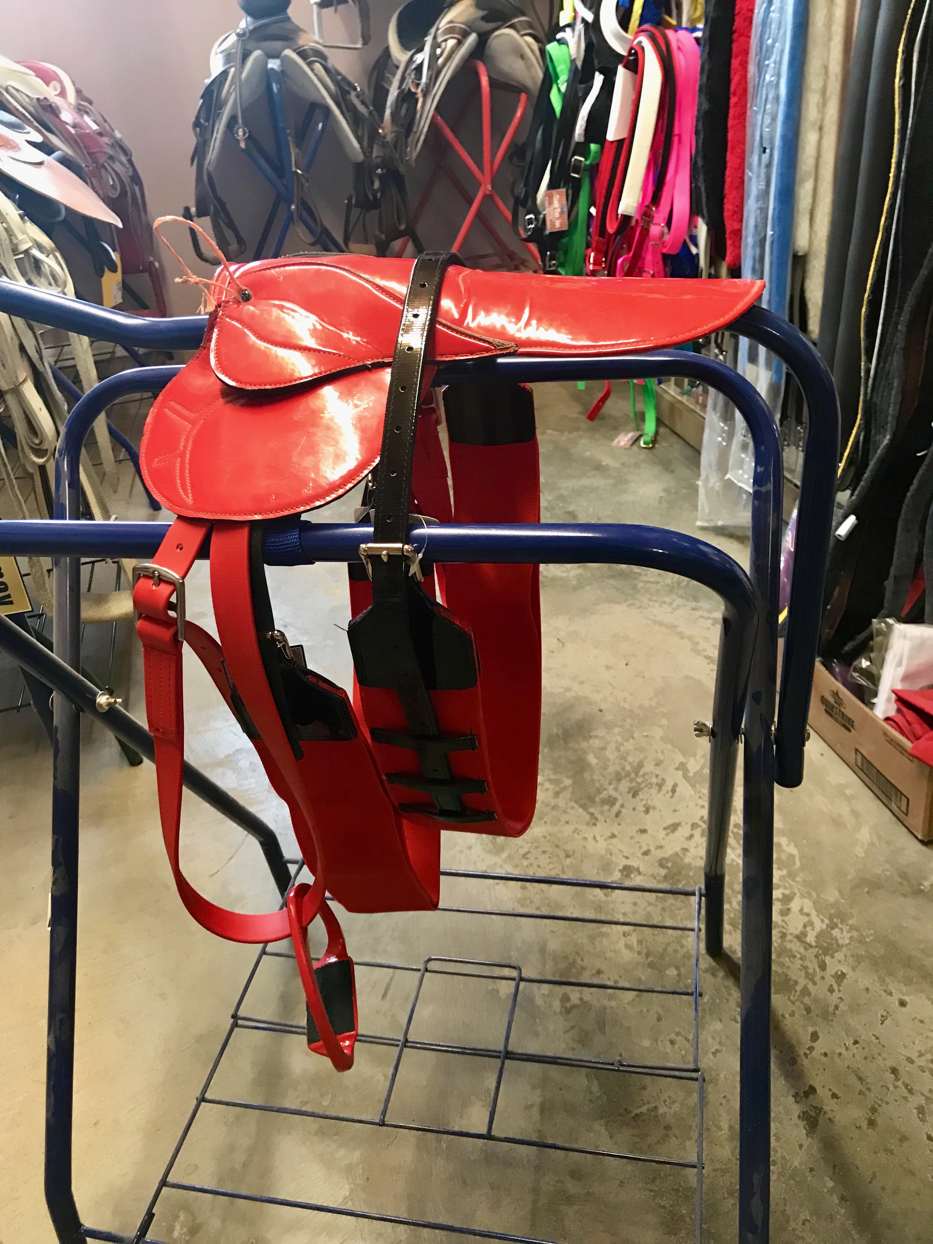 Horse Racing Equipment and Feed Pasturas Los Alazanes