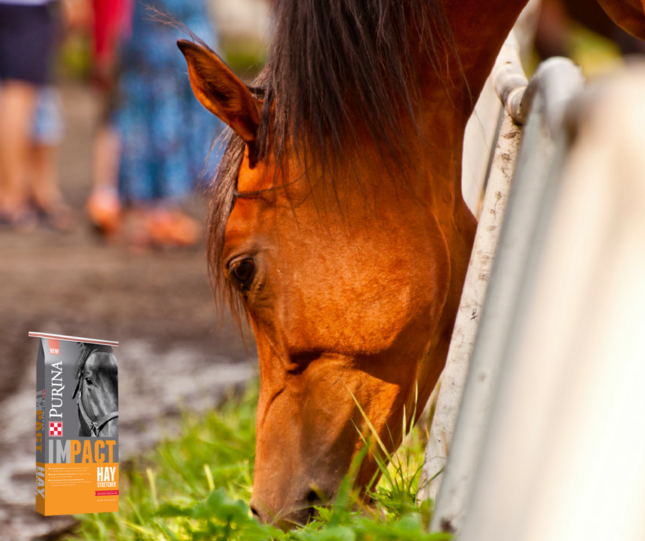 Impact Hay Stretcher Horse Feed Buy 2 Get 3rd Free Pasturas Los Alazanes