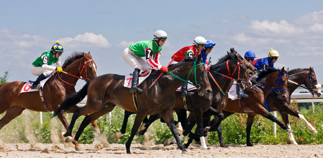 Horse racing jockeys and racehorses on track